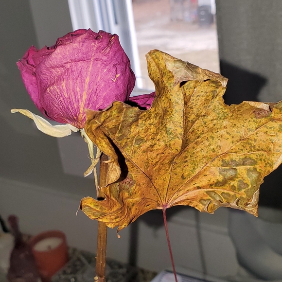 💋all sold below💋 - Picture 2 of 12